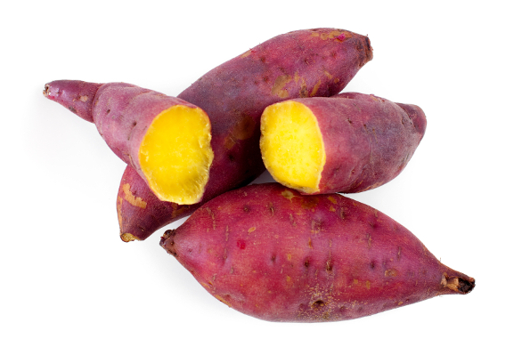 New variety of sweet potato for Africa’s food security