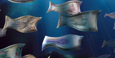 Sunken billions Revisited