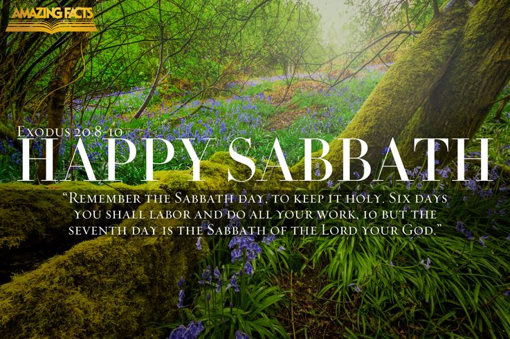 Basic Questions Concerning Sabbath Observance and Their Answers